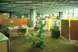 Das Bild zeigt eine Bürolandschaft des Quickborner Teams mit mobilen Möbeln und vielen Grünpflanzen.