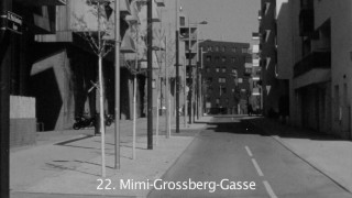 Ein Filmstill vom Kurzfilm "Präsenz" der Filmmachenden Aleksandra Kołodziejczyk und Karl Wratschko zeigt die Mimi-Grossberg-Gasse im 22. Wiener Gemeindebezirk.