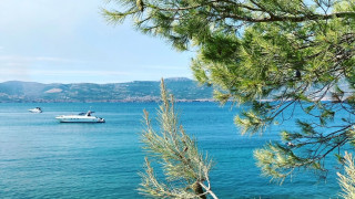 Kroatisches Meer und Küste mit Boot und Zypresse